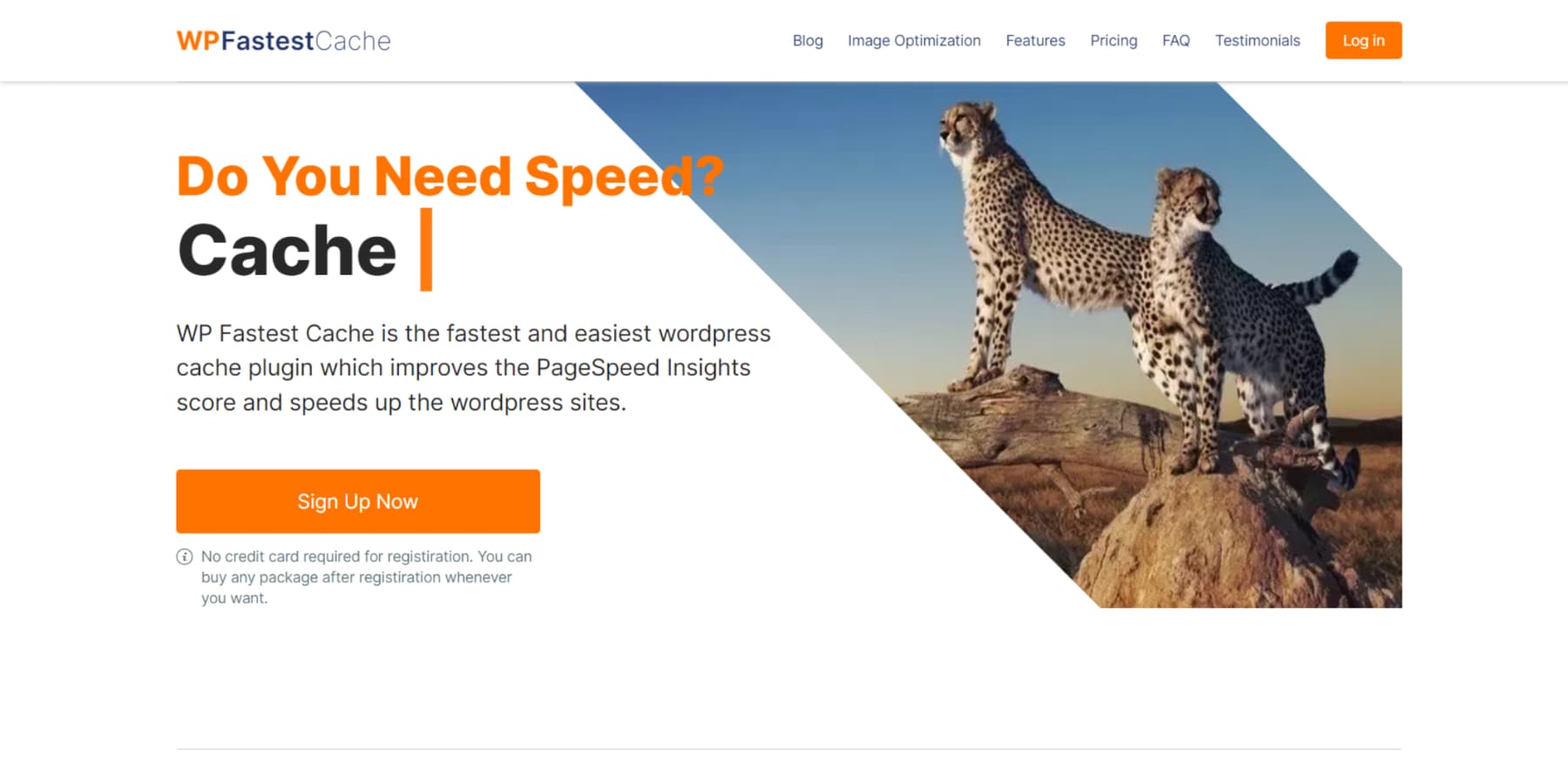 WP-Fastest-Caches-Home-Page