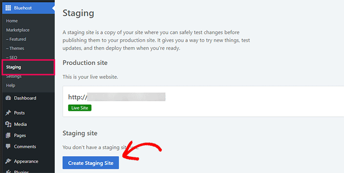 bluehost-staging-website