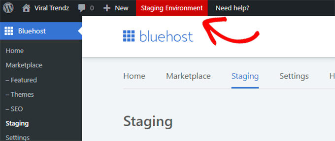 stagingenv-bluehost